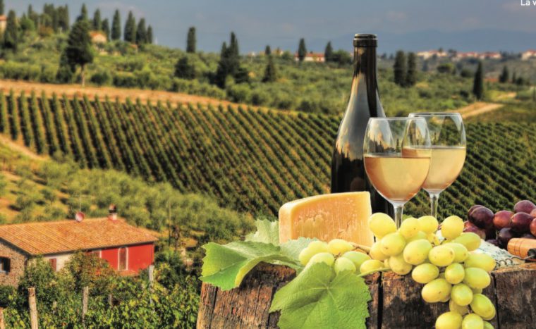 Une bouteille de vin et de raisins sur une souche de bois en Toscane.