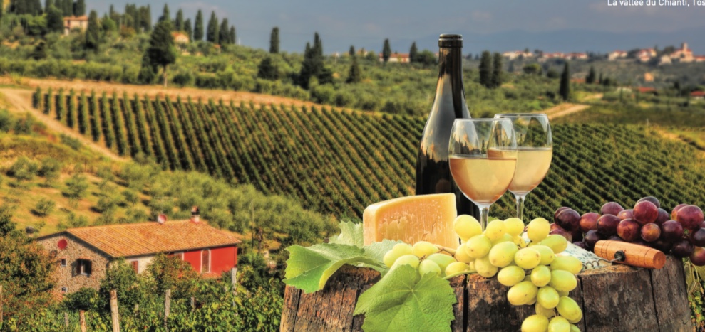 Une bouteille de vin et de raisins sur une souche de bois en Toscane.