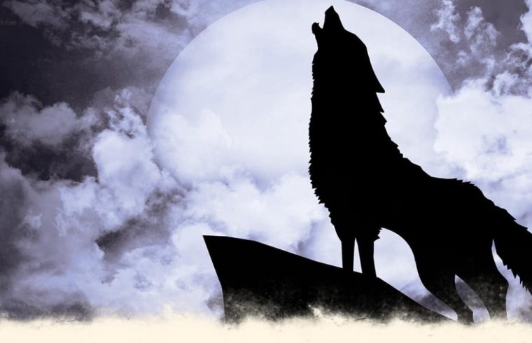 Une silhouette de loup-garou hurlant à la lune.