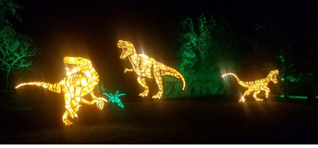 Un groupe de statues de T-Rex à Pumpkininferno s'est illuminé la nuit.