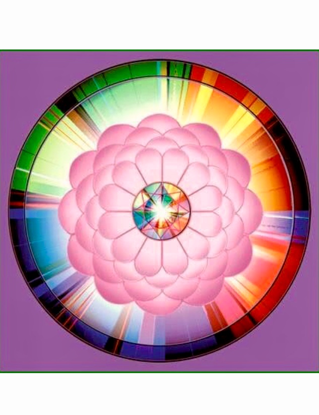 Une image d'une fleur rose entourée d'un fond violet, embrassant la spiritualité créatrice.