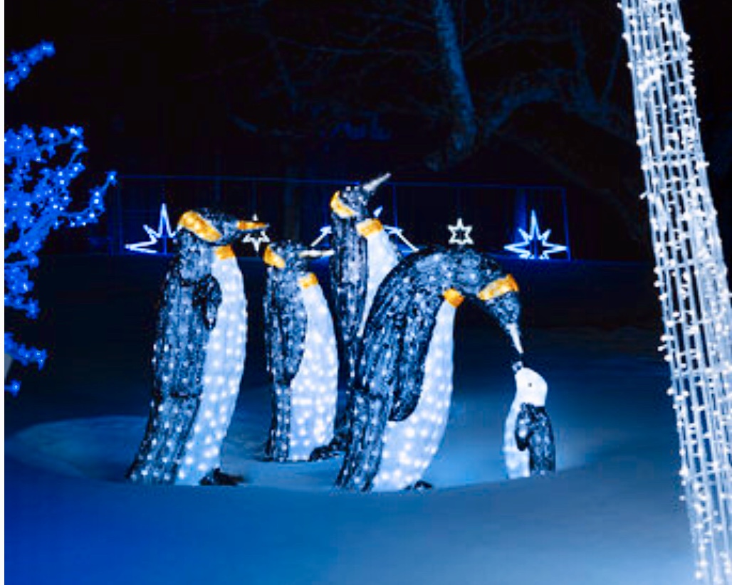 Un groupe de pingouins ornés de lumières bleues éblouissantes dans le paysage enneigé.