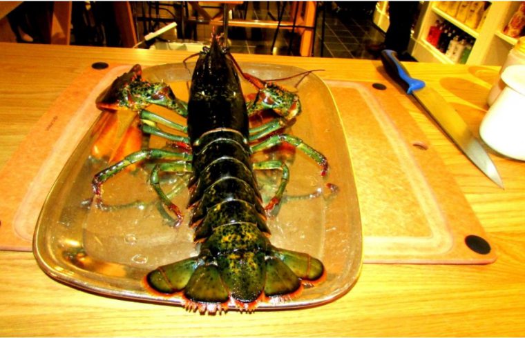 Le Roi de la mer se régale avec un homard, assis sur un plateau sur une table.