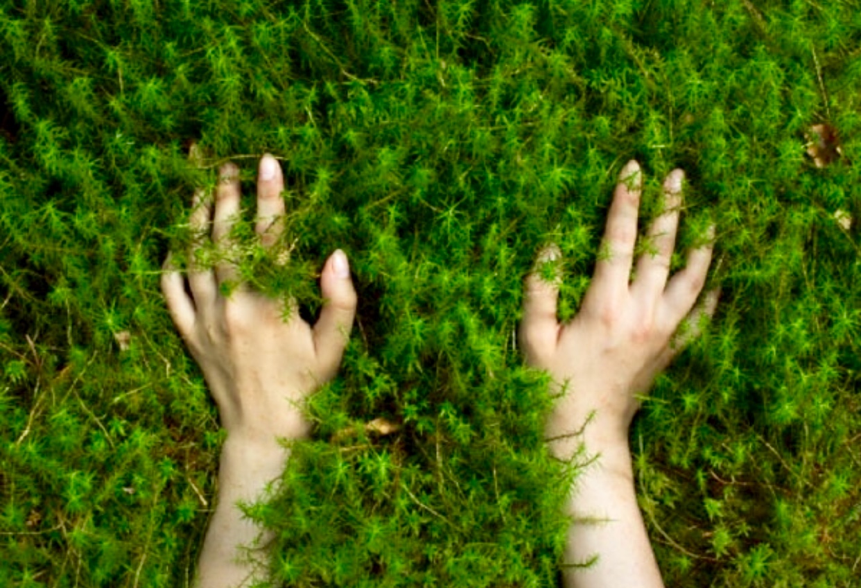 Les mains d'une femme sont couvertes d'herbe alors qu'elle explore le Jardin botanique.