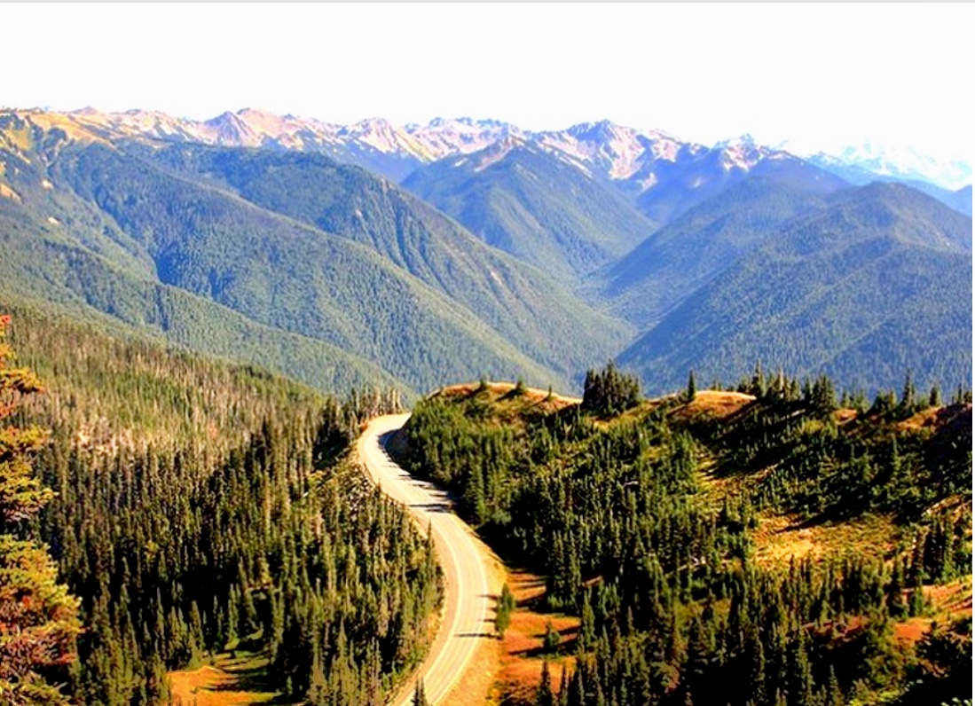 Une route panoramique serpentant à travers une forêt luxuriante avec des montagnes majestueuses en arrière-plan, mettant en valeur la beauté naturelle des Vins de Washington.