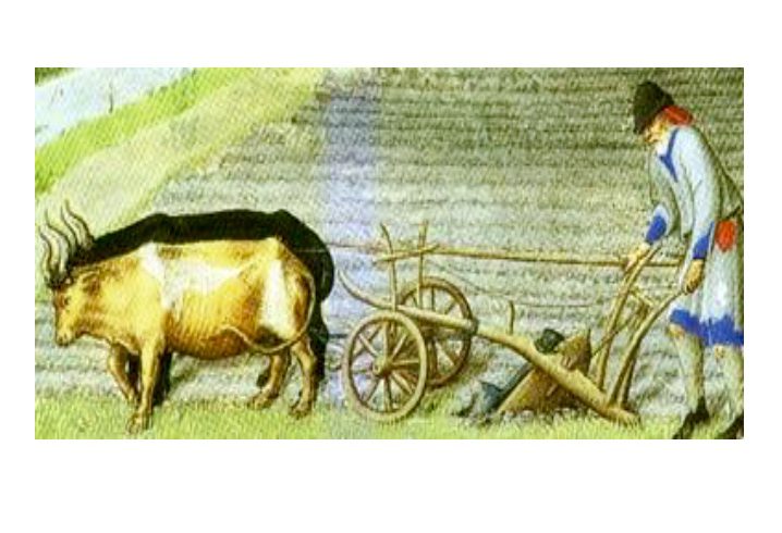Illustration d'un homme tirant une charrue avec deux bœufs à l'ombre.