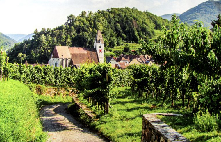 Un chemin en pierre menant à une église dans le vignoble des Routes des vins.