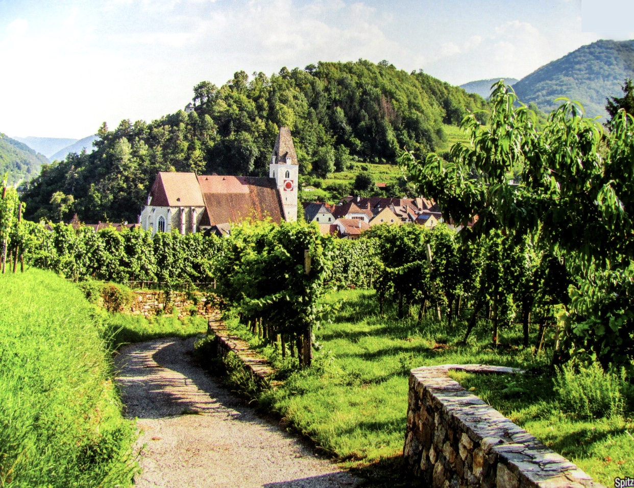 Un chemin en pierre menant à une église dans le vignoble des Routes des vins.