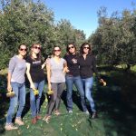 Un groupe de femmes debout dans un verger d’oliviers en Italie.