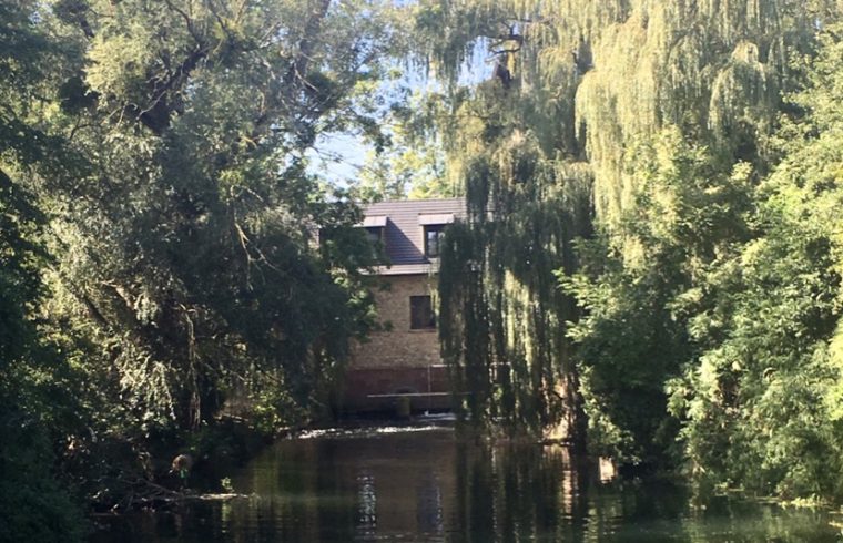 Le Moulin de la Wantzenau, un endroit pittoresque niché au bord d'une rivière, joliment orné d'arbres luxuriants et d'arbustes abondants.