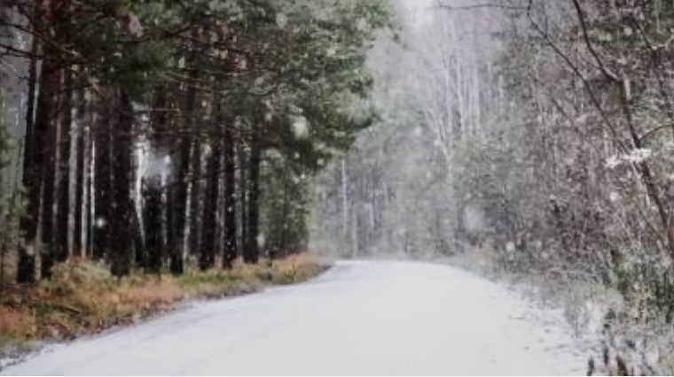 Une route enneigée dans les bois observée par Henri Lazure.