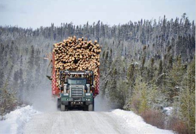Texte n° 3 - Un gros camion transportant des grumes sur une route enneigée.