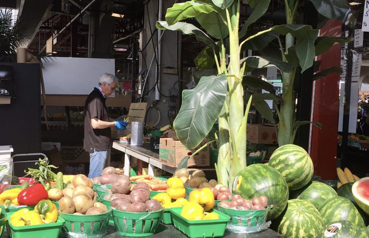 Un homme debout devant un étalage de fruits et légumes, mettant en valeur l’abondance de produits frais dans le contexte de la pandémie de COVID-19 et du retour progressif à la vie à Montréal.