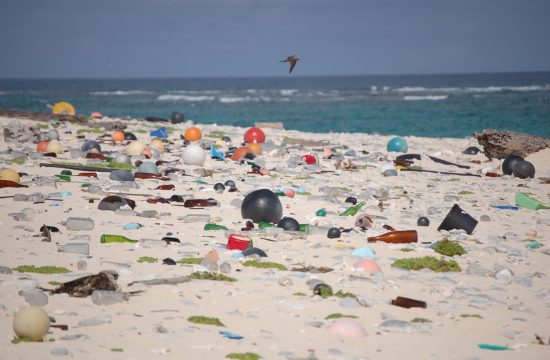 Une plage nuisible à l'environnement et remplie de nombreux déchets.