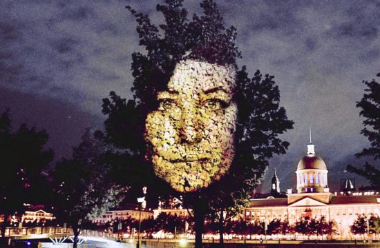 Cité-Mémoire Histoire prend vie alors qu'un visage de femme émerge de l'écorce d'un arbre devant une ville.