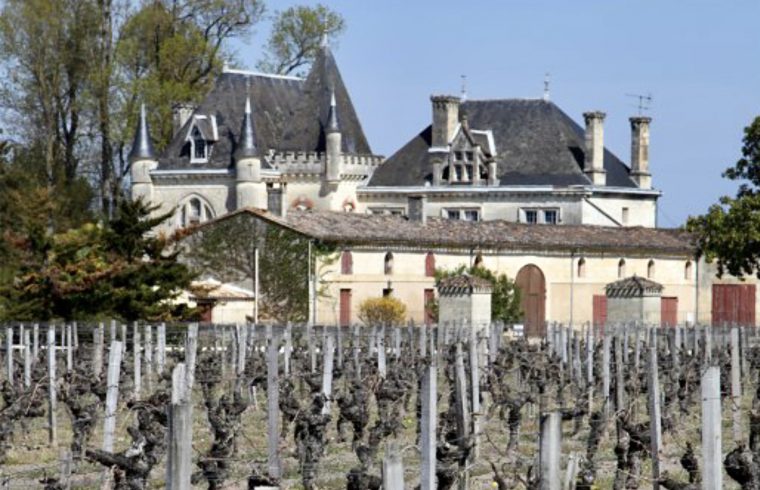 Un vignoble offrant une dégustation de grands vins exquis, avec un majestueux château en arrière-plan.