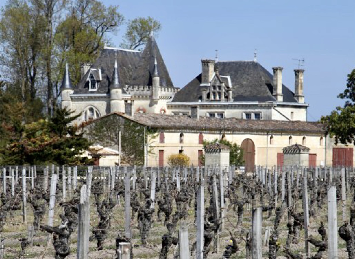 Un vignoble offrant une dégustation de grands vins exquis, avec un majestueux château en arrière-plan.