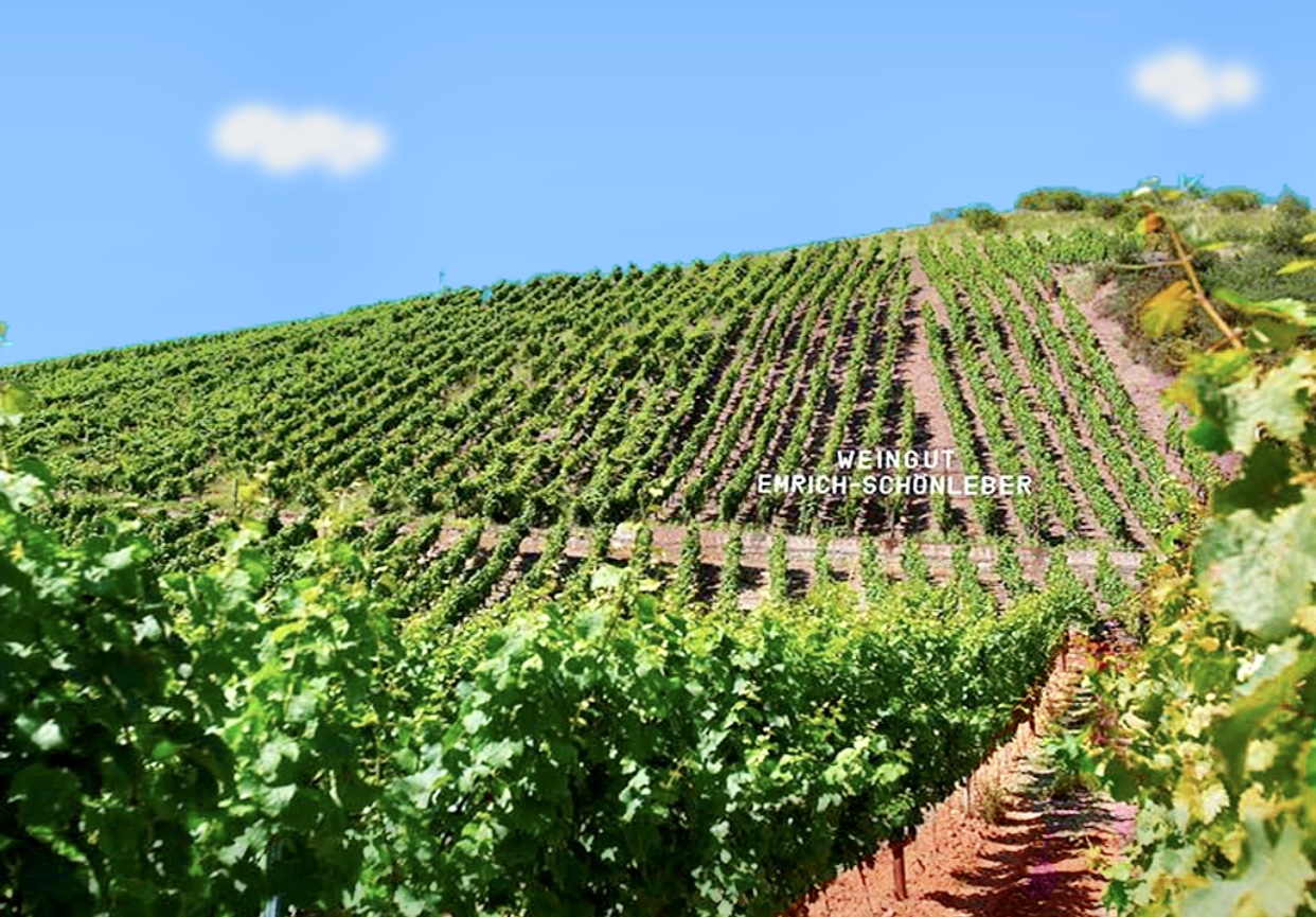 Un vignoble en Allemagne avec des rangées de vignes et une colline en arrière-plan.