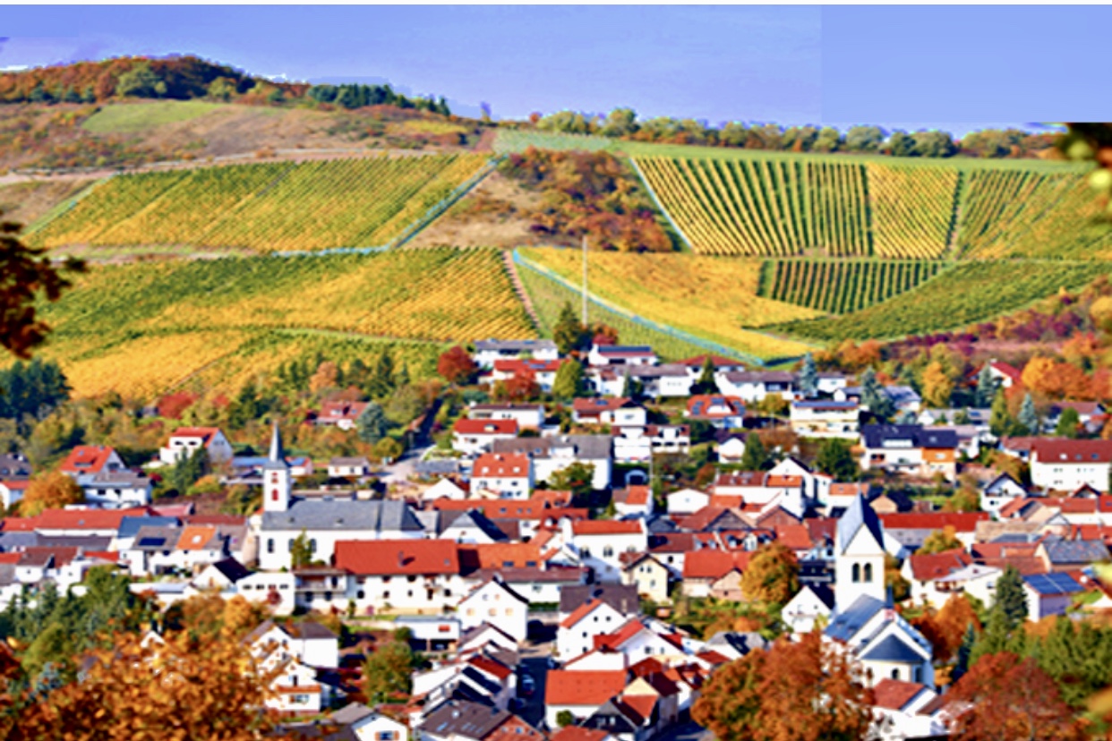Une petite ville avec des vignobles en arrière-plan, révélant la beauté du vin allemand.