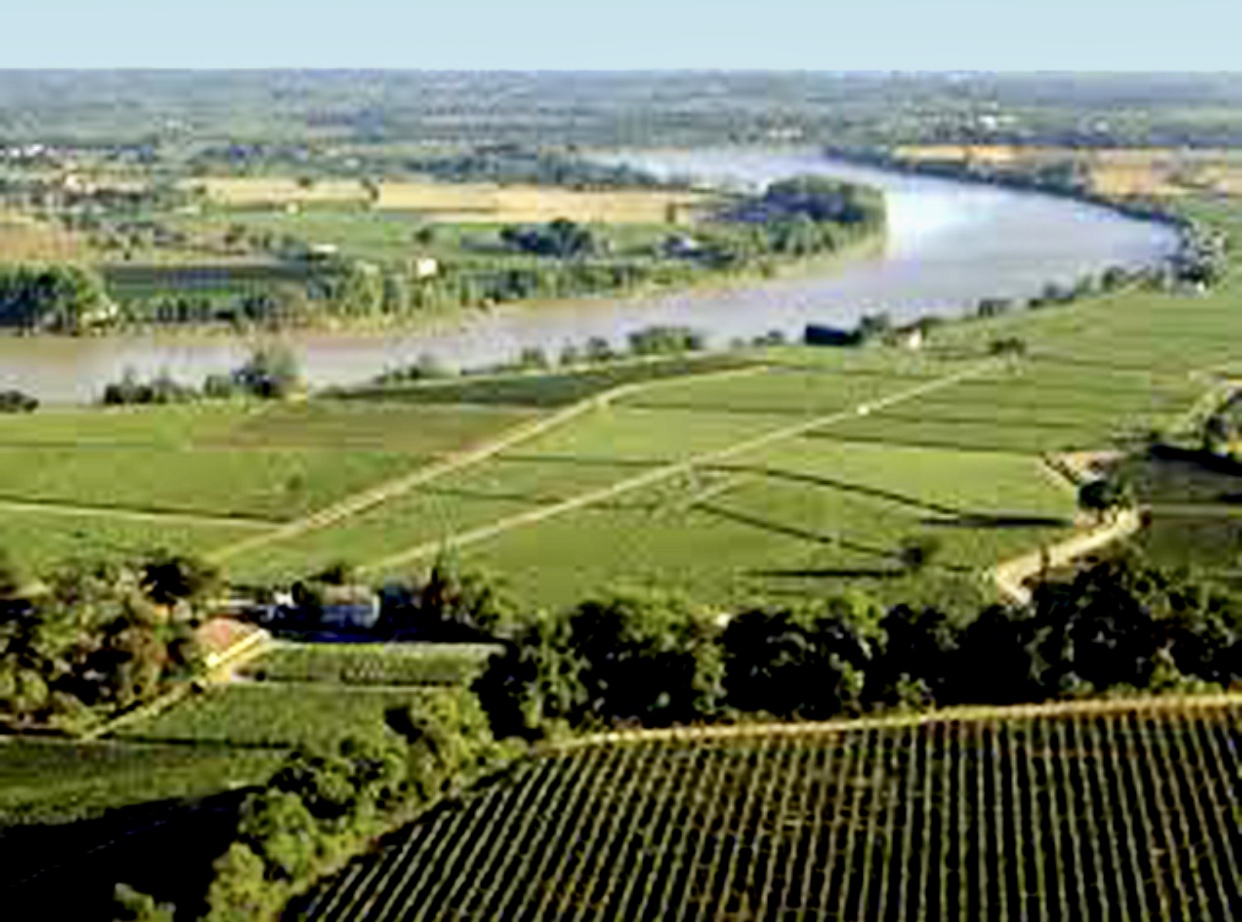Une vue aérienne du vignoble et de la rivière des Vins du Médoc.