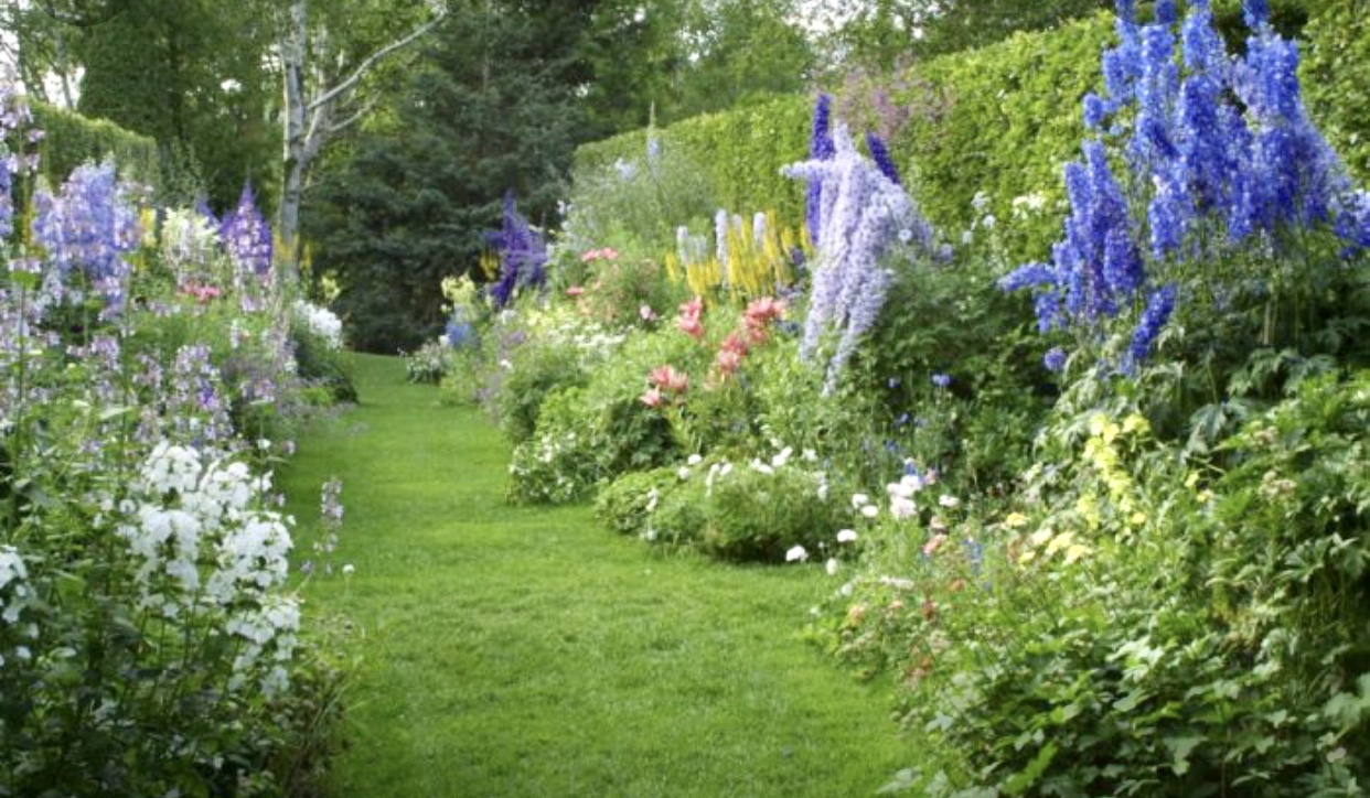 Les jardins du monde, un jardin pittoresque avec des fleurs bleues vibrantes et une herbe verte luxuriante.