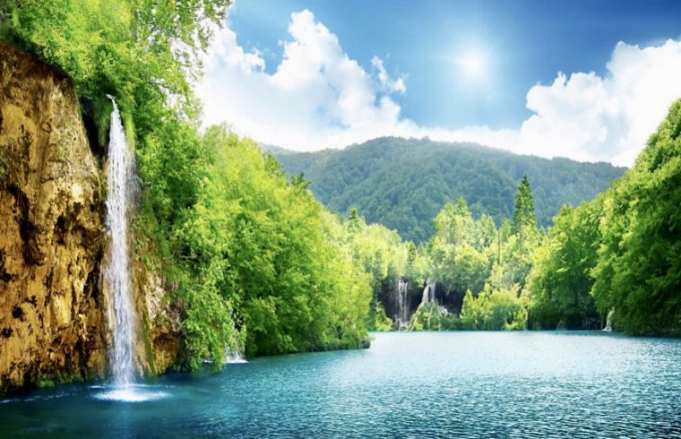 Une cascade pittoresque nichée dans une forêt verdoyante met en valeur la beauté de la nature.