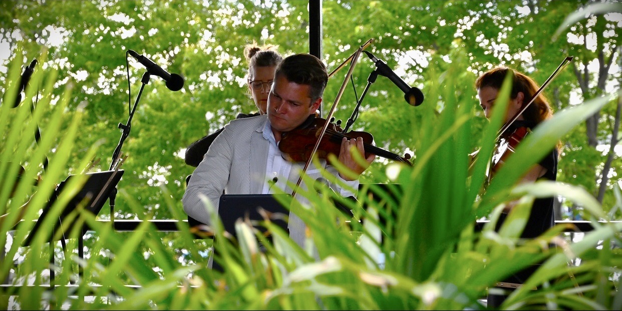 Un homme jouant du violon devant un groupe de plantes, créant une ambiance sereine avec de la musique classique.