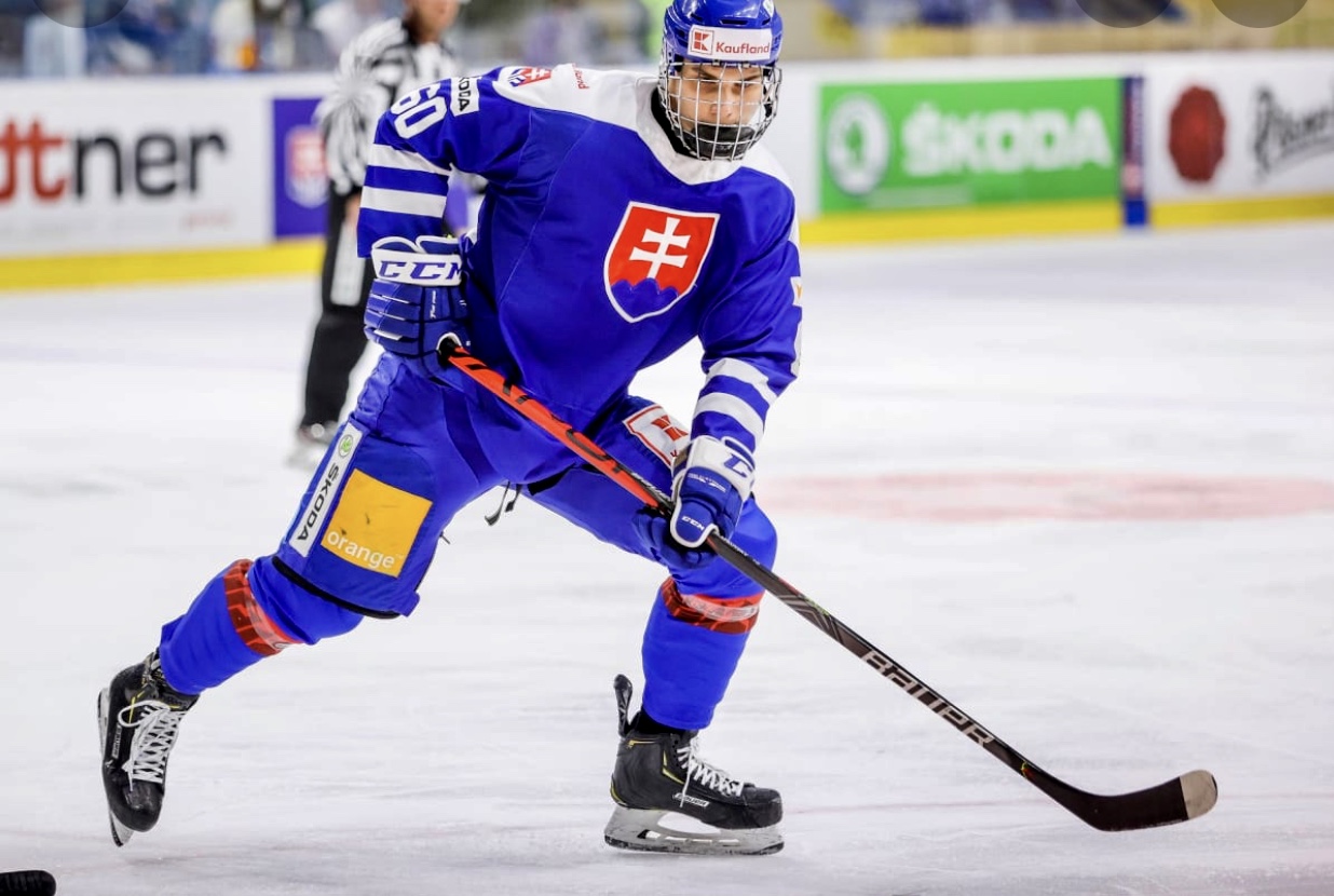 Un joueur de hockey en uniforme bleu sur la glace, démontrant ses compétences au hockey.