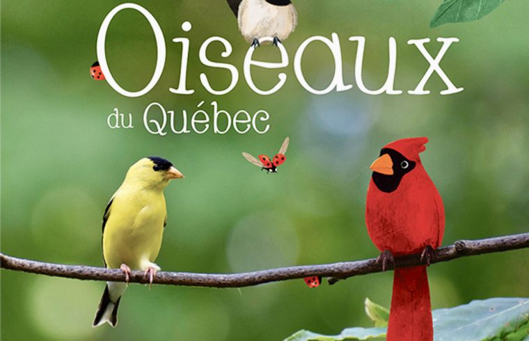 Oiseaux du Québec - conférences estivales pour enfants.