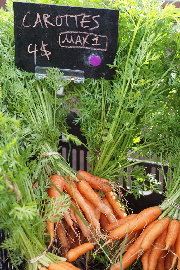 Un panier de carottes bio en bouquet avec une pancarte.