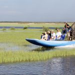 Un groupe de personnes circulant dans un hydroglisseur dans les marais de Floride.