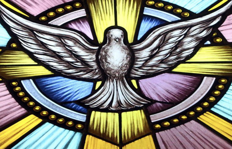 Un vitrail sur le thème de la Philosophie, mettant en valeur une colombe au centre.
