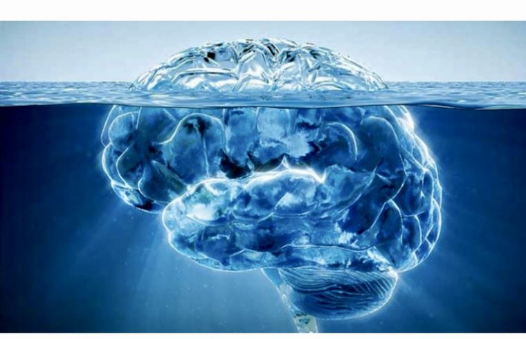 Un cerveau, représentant les profondeurs de la pensée et de la conscience humaines, semble flotter en apesanteur dans un plan d’eau serein.