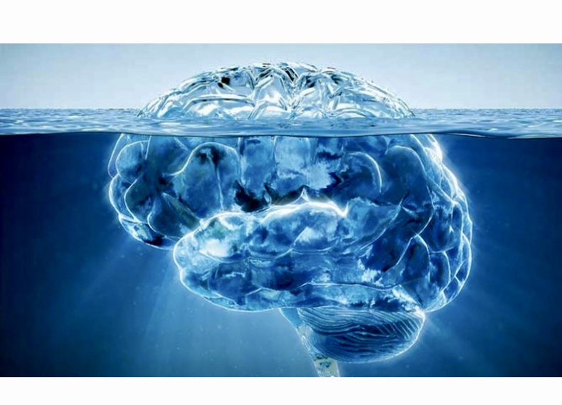 Un cerveau, représentant les profondeurs de la pensée et de la conscience humaines, semble flotter en apesanteur dans un plan d’eau serein.