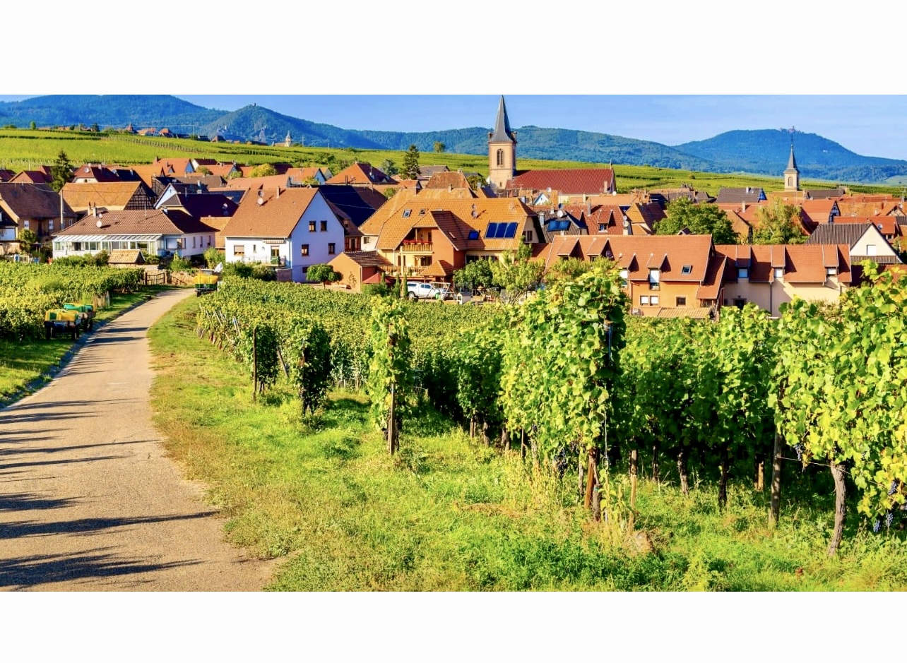 Une petite ville avec les vignobles des Vins d'Alsace en arrière-plan.