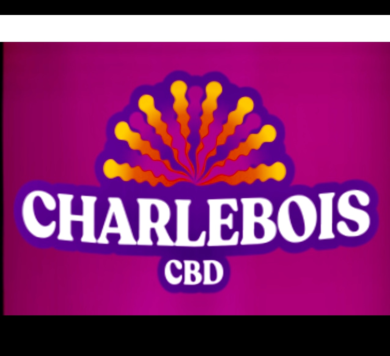 Logo CBD de Charlebois sur fond violet.