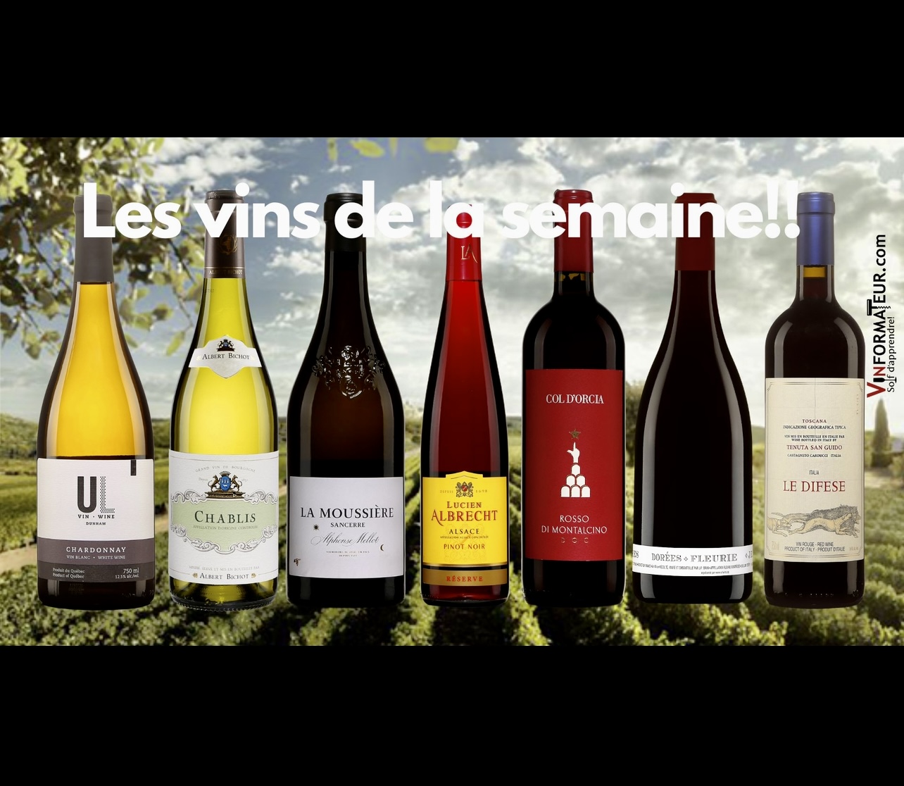 Un groupe de bouteilles de vin mettant en valeur les vins de somme.