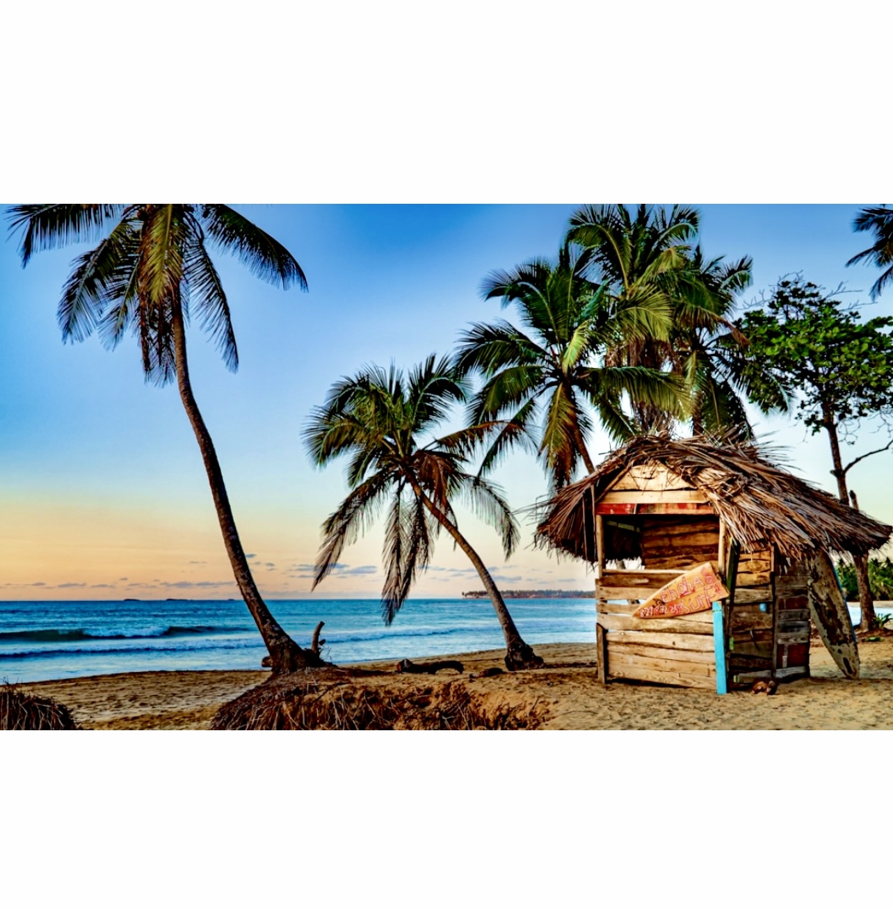 Une cabane de la République dominicaine sur la plage avec des palmiers en arrière-plan.
