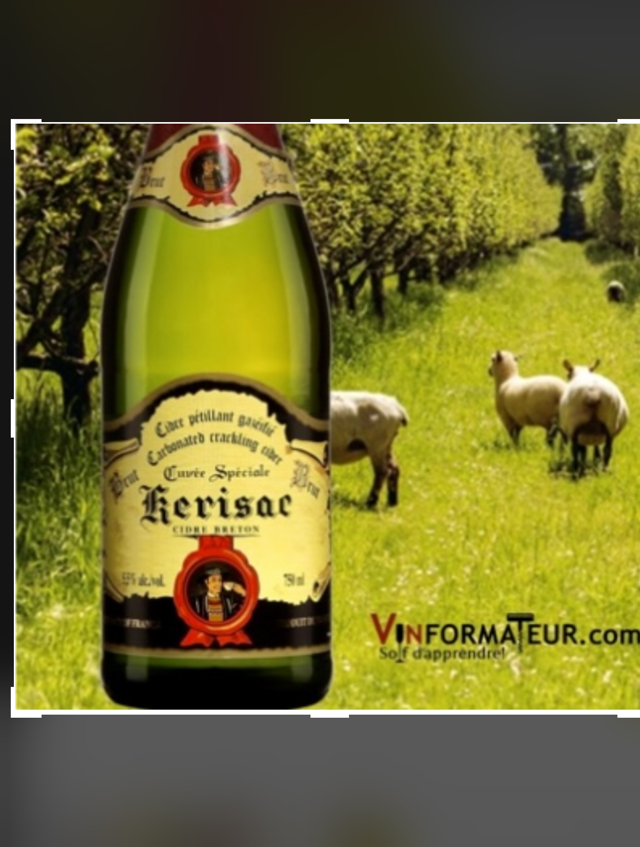 Une bouteille de champagne Vins de la semaine avec des moutons dans un verger.
