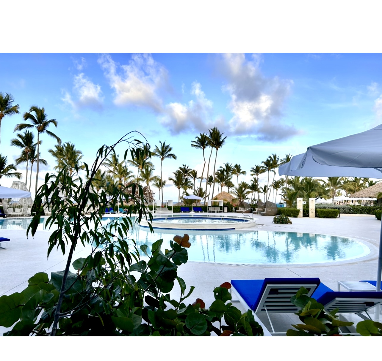 La Sérénade : Une piscine avec transats et parasols à côté des palmiers.