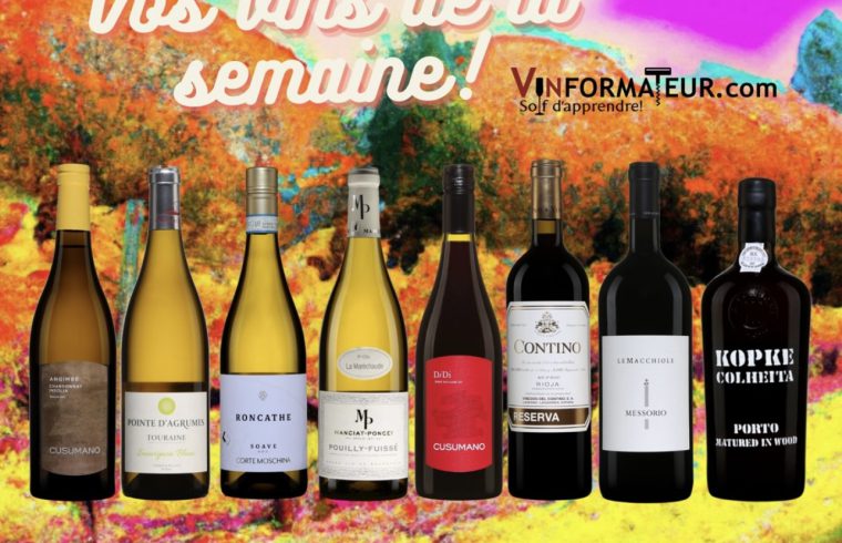 Un groupe de bouteilles de vin exposées sur fond coloré, mettant en valeur Vos vins de la semaine du 27 mai 2023.