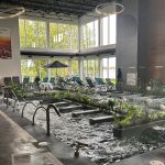 La cache du Lac Champlain offre une grande piscine intérieure avec plantes et chaises longues, dégageant un charme et une ambiance rustique.
