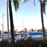 Un bateau amarré dans la marina des Keys avec des palmiers.