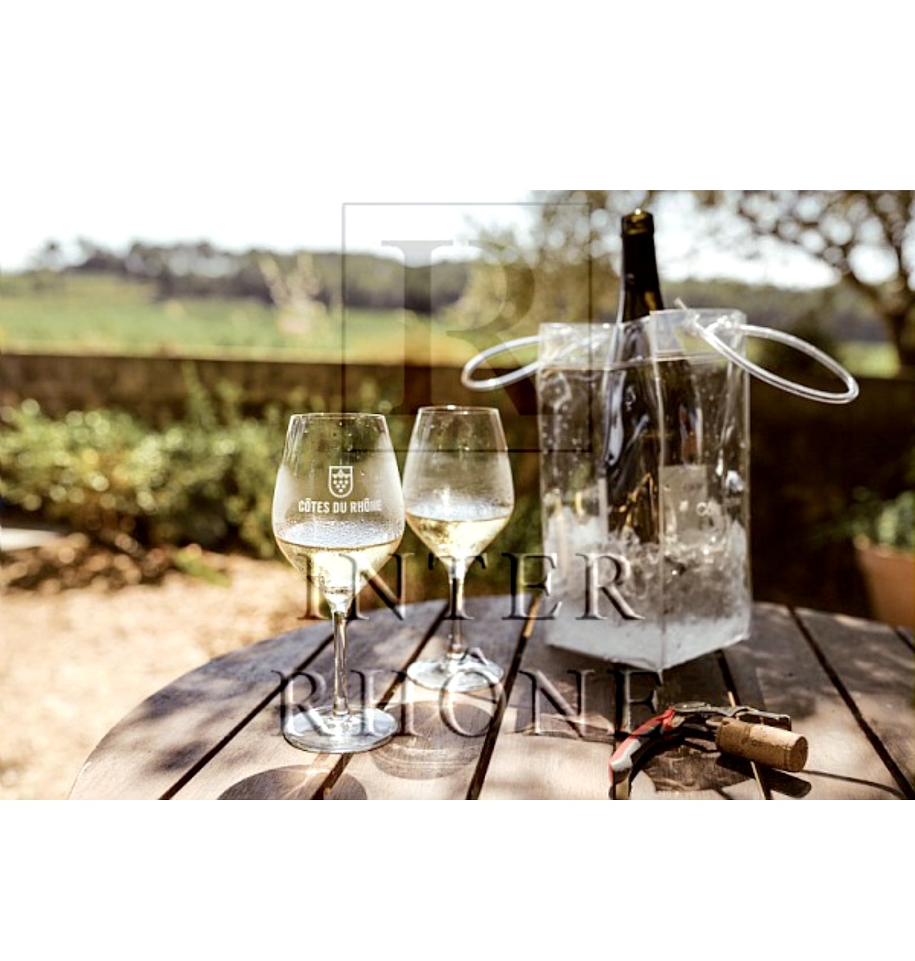 Deux verres de vin et un seau à glace sur une table dans Les vignobles du Rhône s'habillent de blanc.