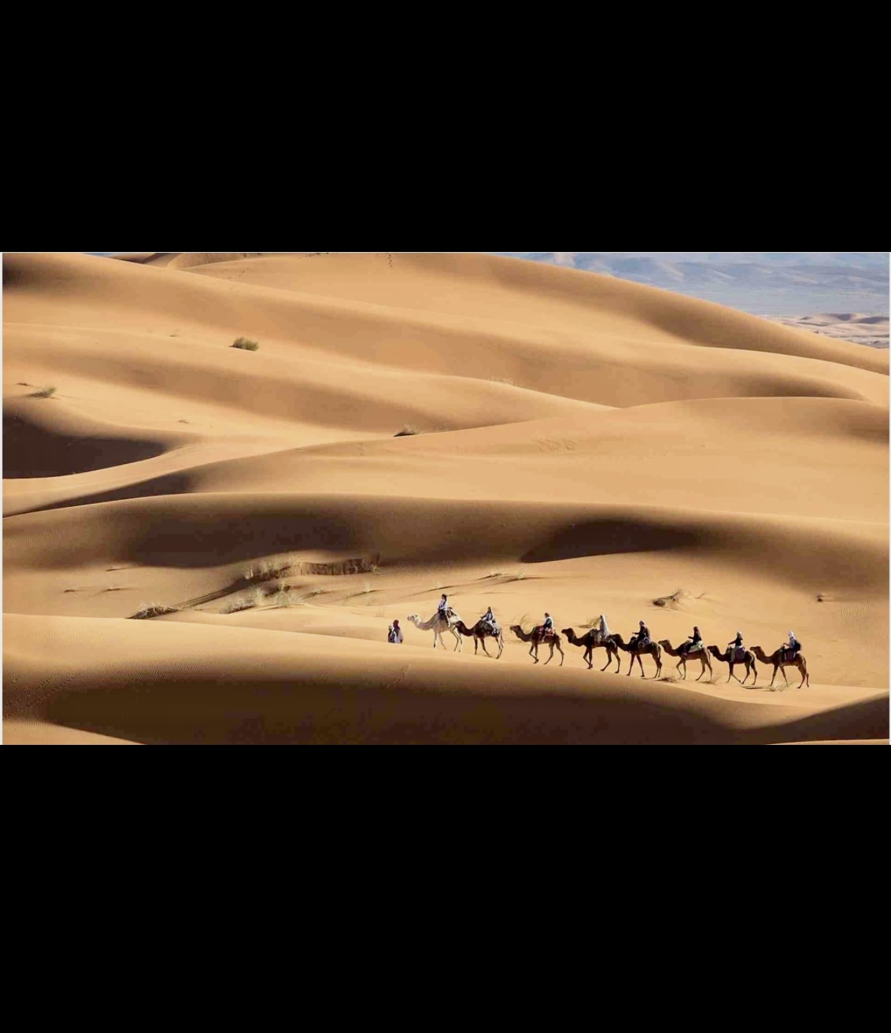 Un groupe de personnes chevauchant des chameaux dans le désert.