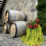 Trois tonneaux de vin devant un mur de pierre, témoignant de la réussite du vignoble Rivière du Chêne après 25 ans.