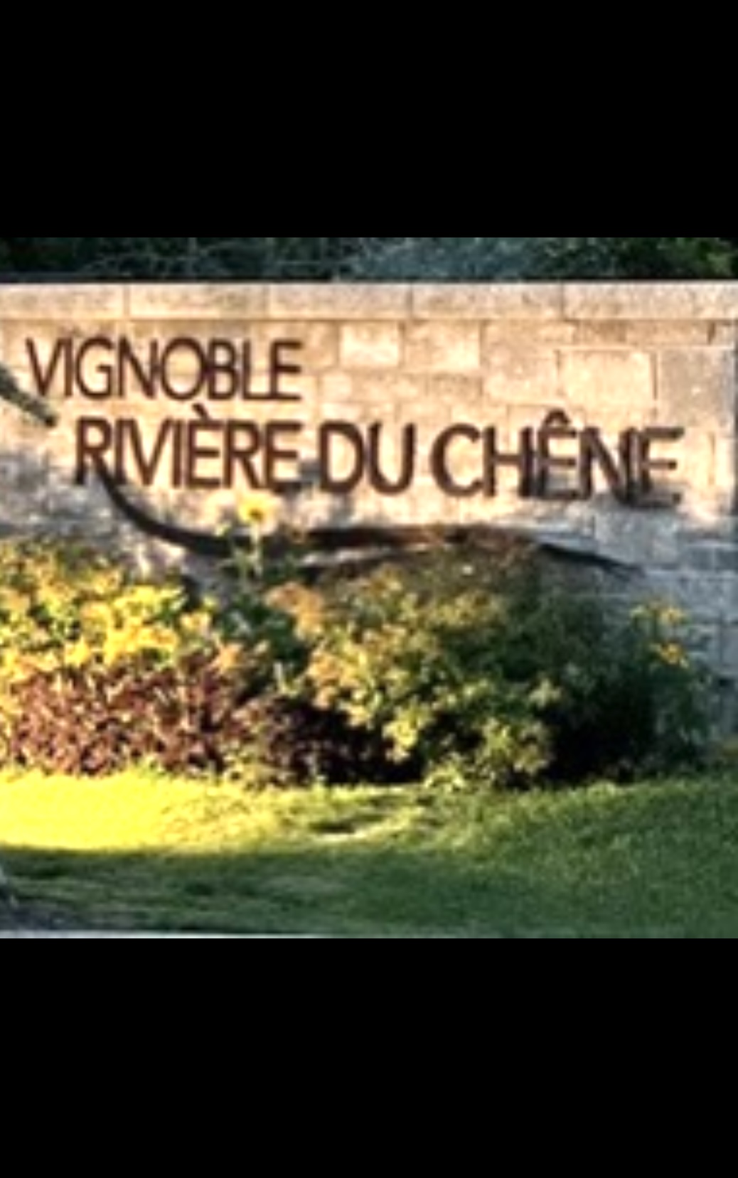 Le vignoble Rivière du Chêne... 25 ans de réussite avec une pancarte.