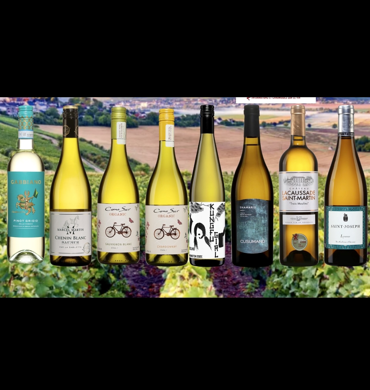 Un groupe de bouteilles de vin devant un champ, mettant en valeur la Vins semaine du 3 octobre 2023.
