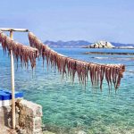 Poulpe séché suspendu à une corde près de l'eau à La Grèce.