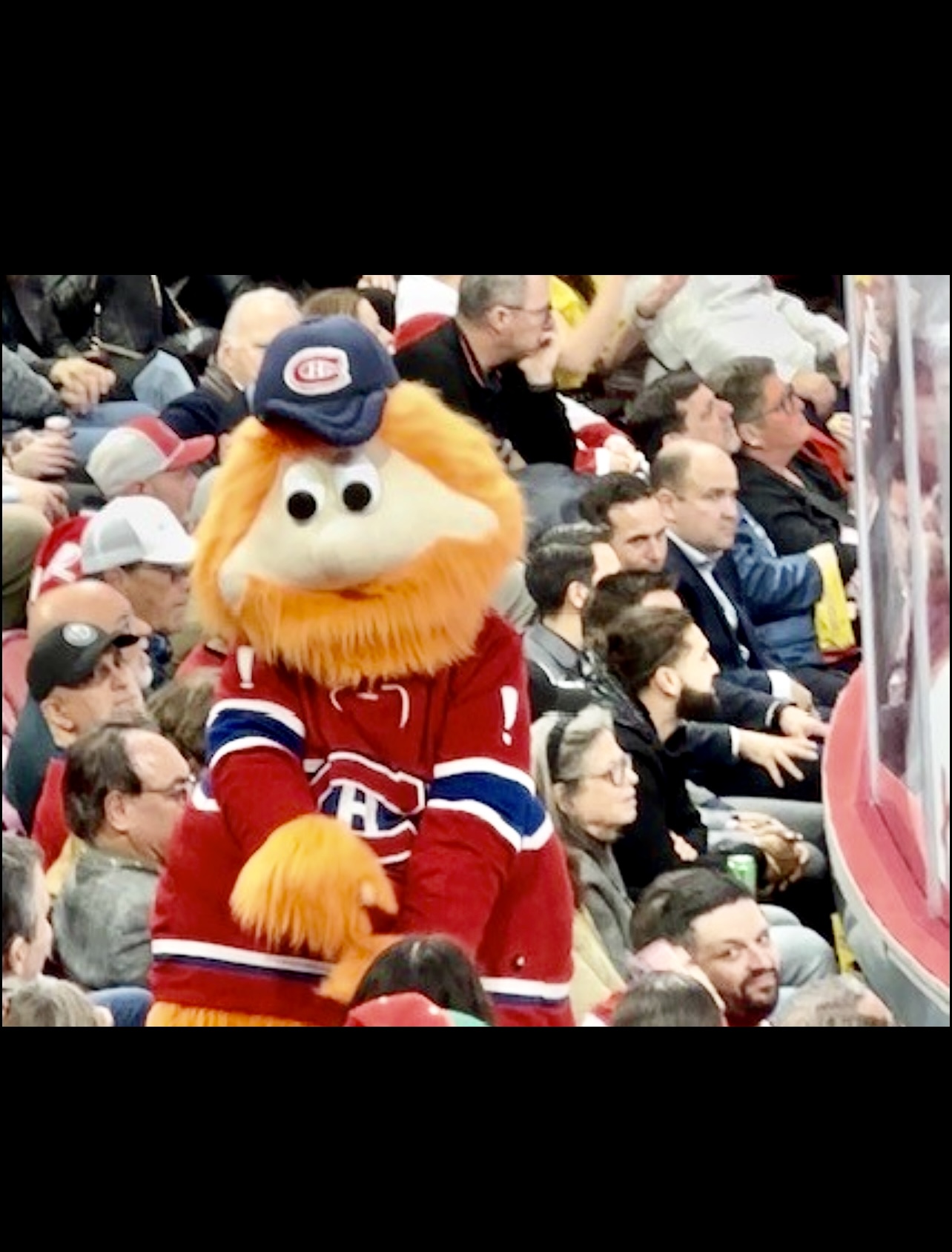 Une soirée au hockey avec la mascotte des Canadiens de Montréal.